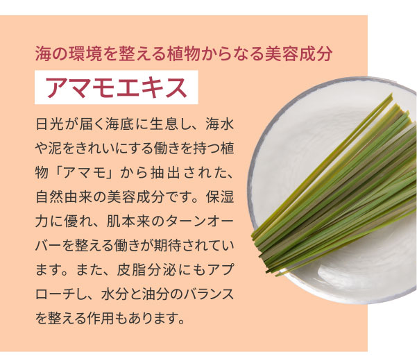 海の環境を整える植物からなる美容成分 アマモエキス