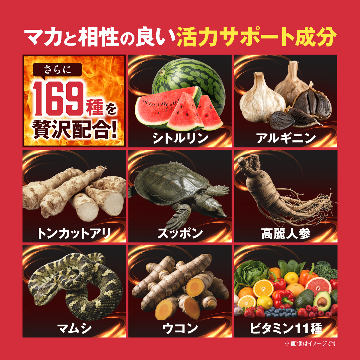 MACA 320,000mg （マカサプリ）30日分