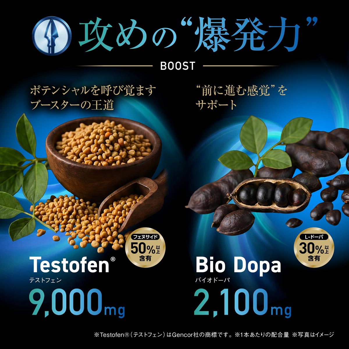Testrong Pro FLOW 30日分（テストロングプロ フロー）