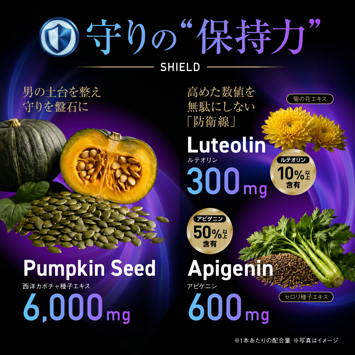 Testrong Pro SHIELD 30日分（テストロングプロ シールド）【今だけお得！】