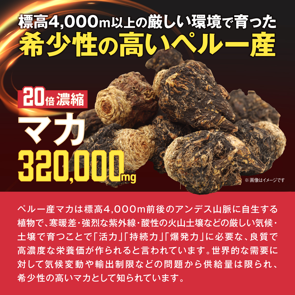 MACA 320,000mg （マカサプリ）30日分