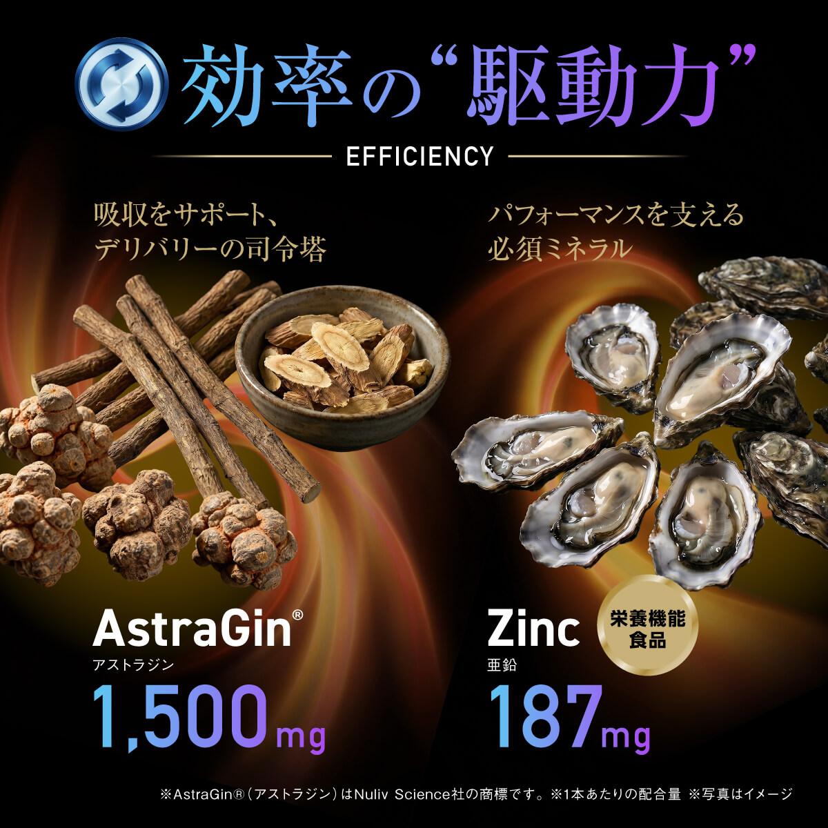 Testrong Pro SHIELD 30日分（テストロングプロ シールド）【今だけお得！】