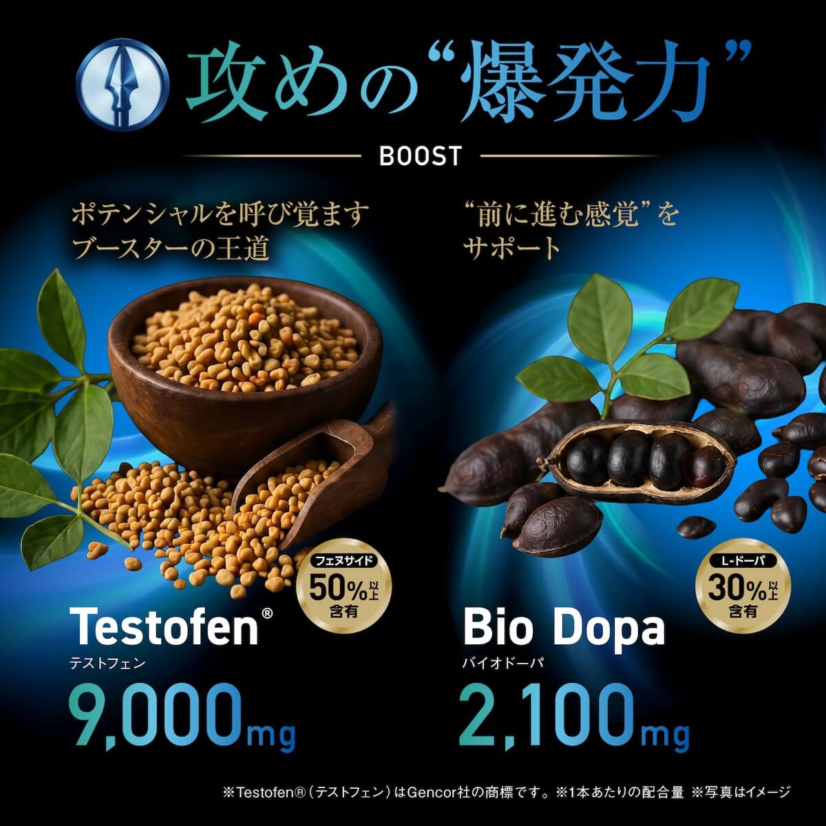 Testrong Pro FLOW 30日分（テストロングプロ フロー）【今だけお得！】