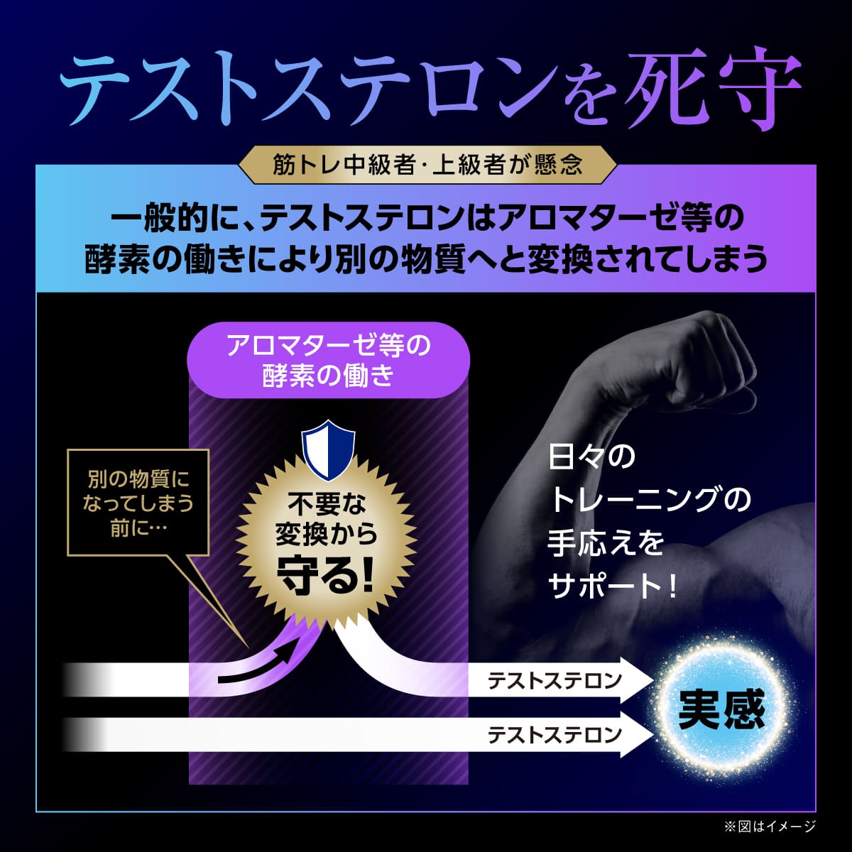 Testrong Pro SHIELD 30日分（テストロングプロ シールド）