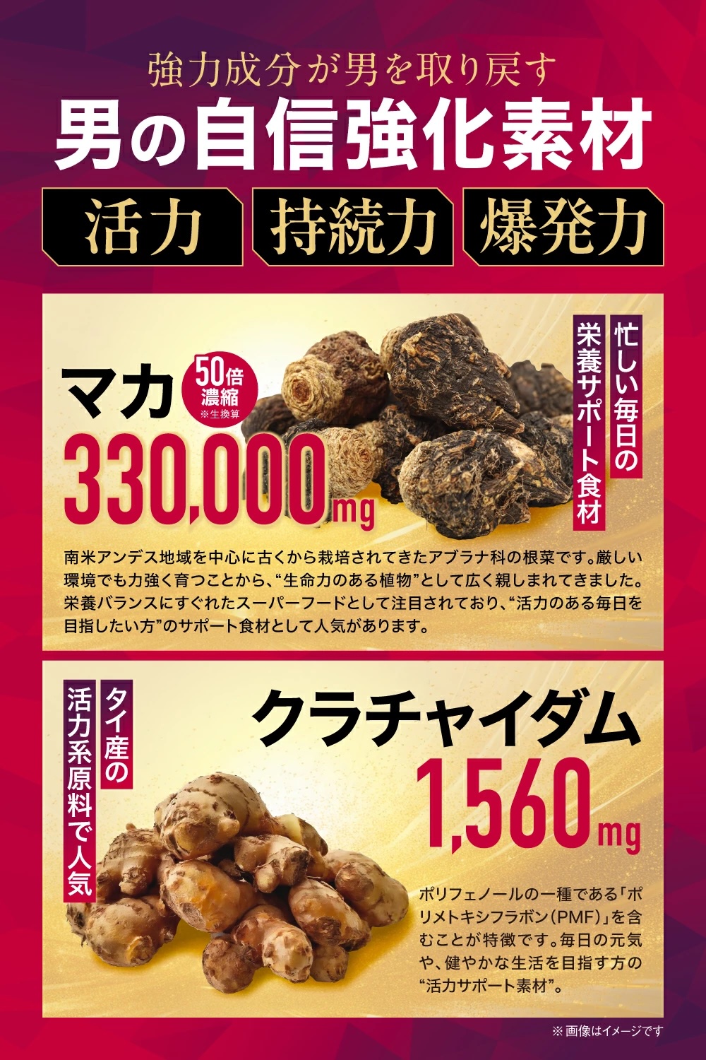 【ダミー商品】TENACIA 50倍濃縮マカ 330,000mg亜鉛369mg 栄養機能食品 クラチャイダム1,560mg バイオペリン150mg 1日2粒 30日分 60粒 国内製造 アルギニン シトルリン 筋トレ トレーニング