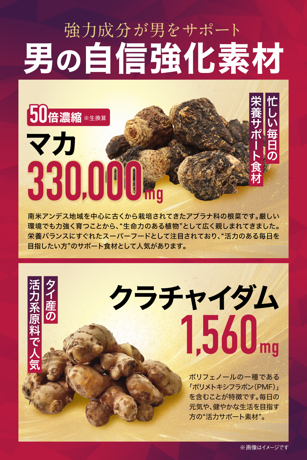 TENACIA 330000 30日分（テナシア）マカサプリ