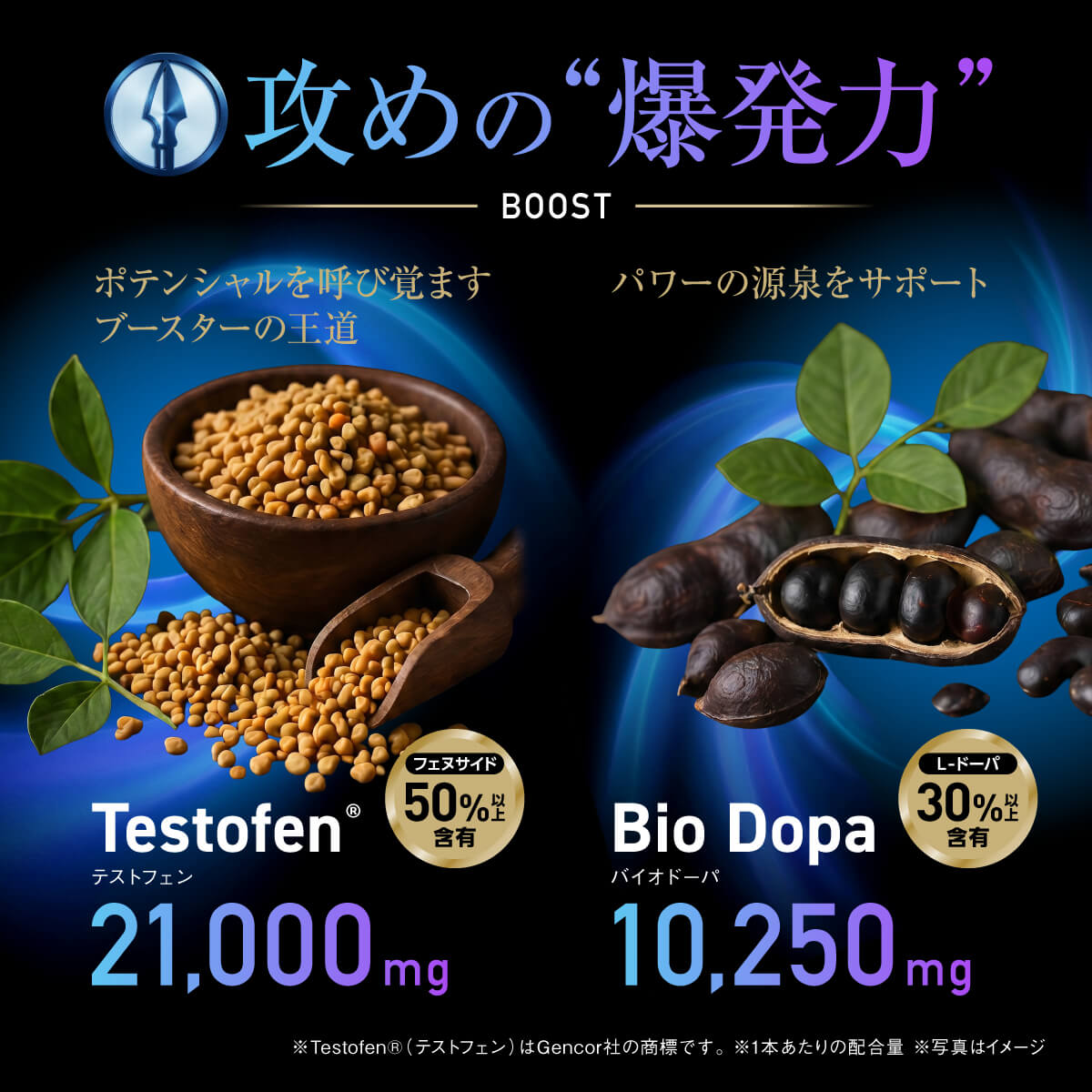 Testrong Pro SHIELD 30日分（テストロングプロ シールド）【今だけお得！】
