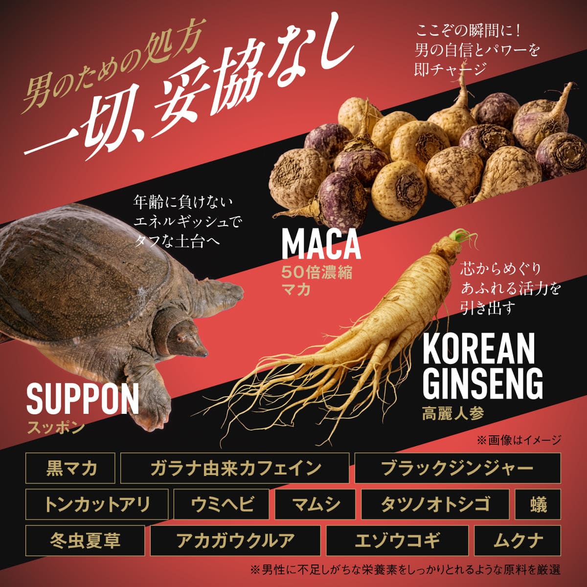 夜王 30日分 スパイシーコーラ味 マカ スッポン 高麗人参