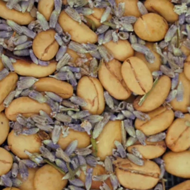 商品サムネイル