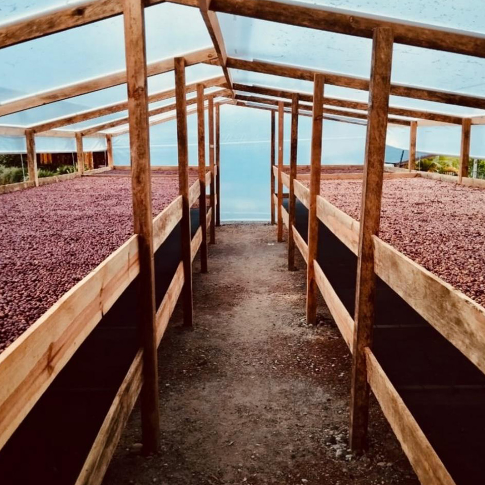 SUDUS Bourbon Aji Washed