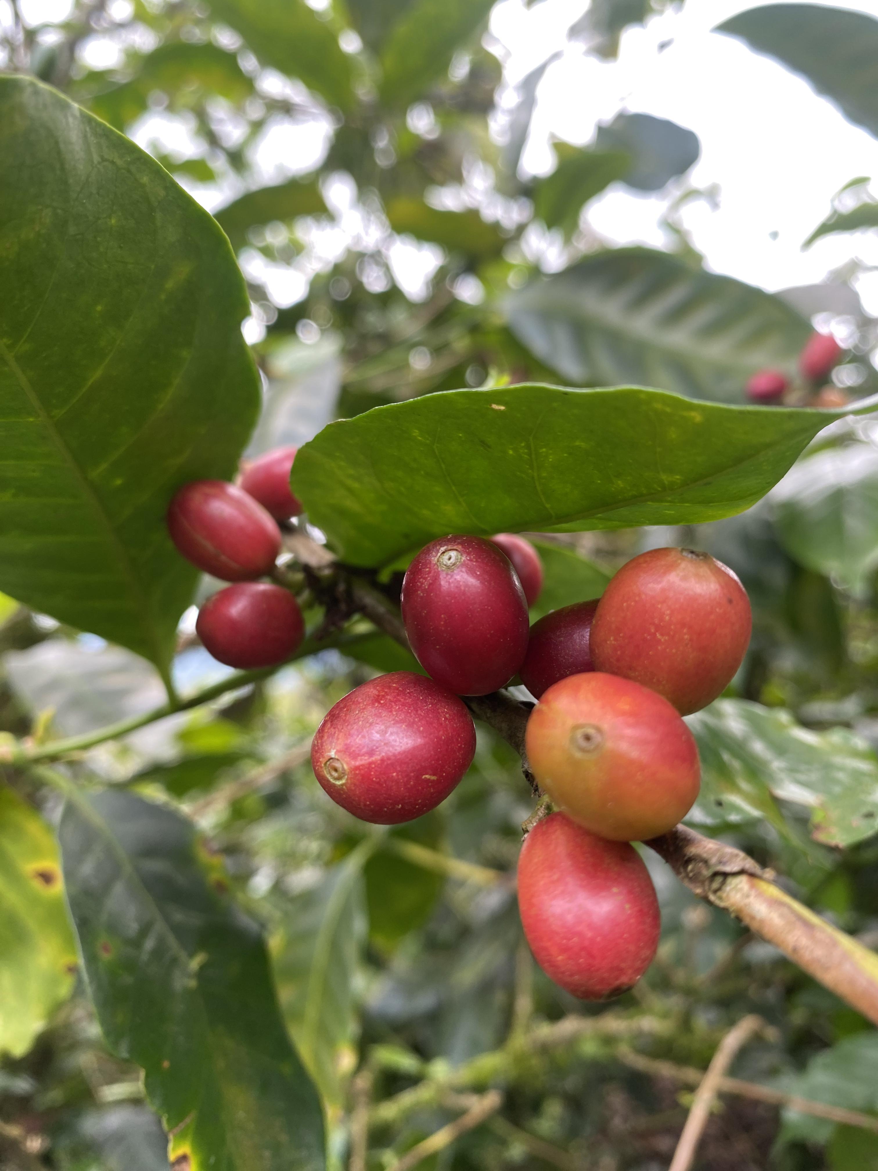 商品サムネイル