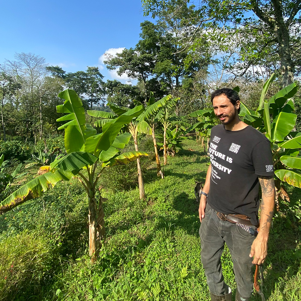 商品サムネイル