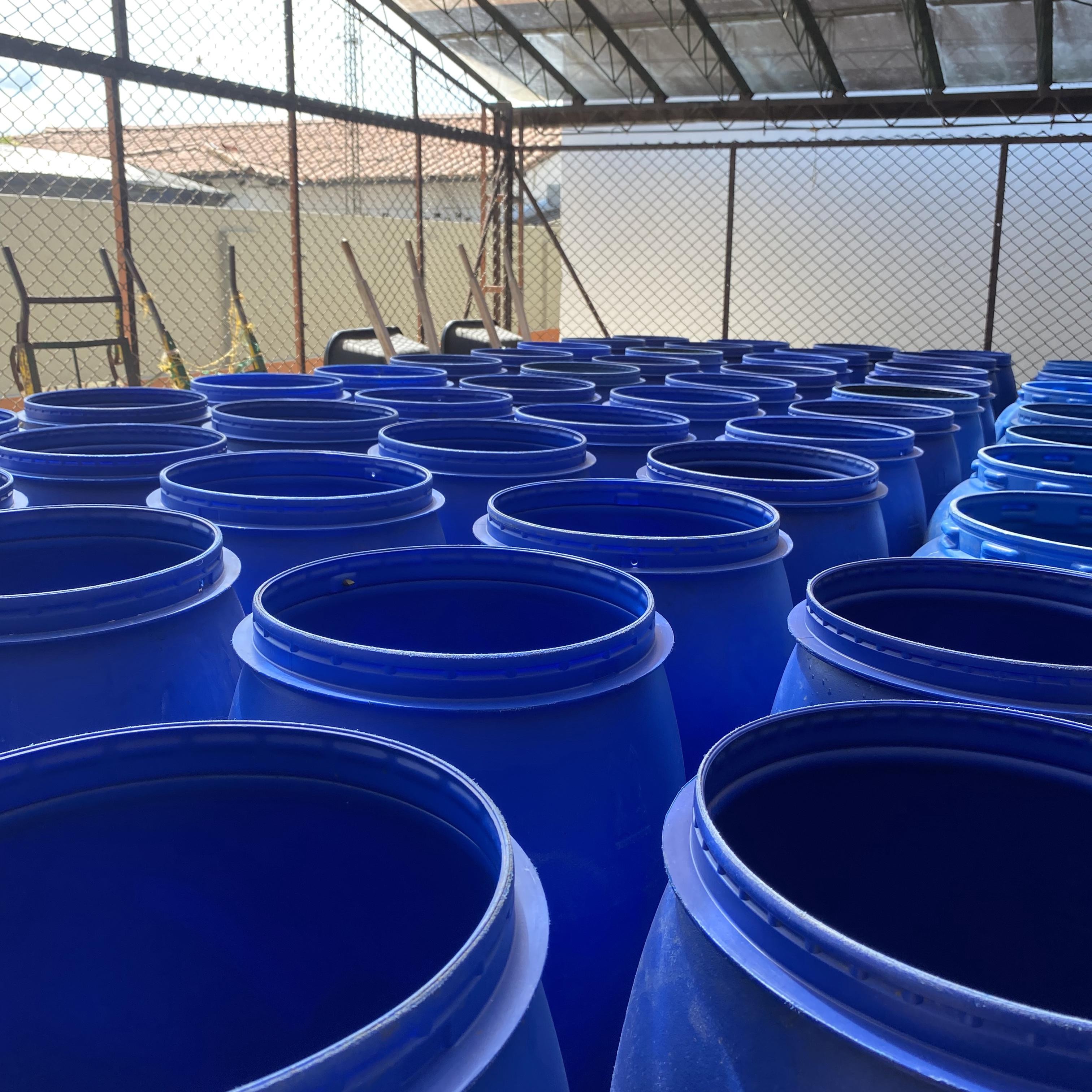 Pink Bourbon Midnight Bloom