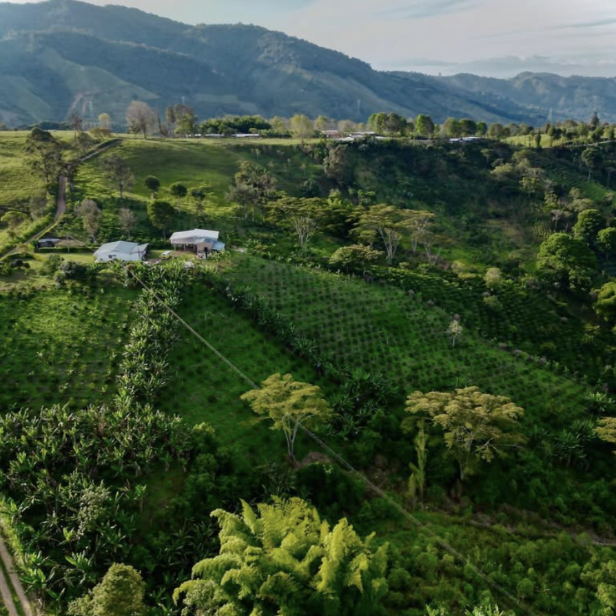 El Porvenir Gesha SemiWashed Land of Diversity