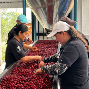 Orange Bourbon Lavender Fusion