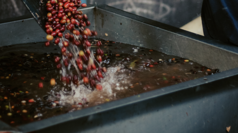 Orange Bourbon Lavender Fusion