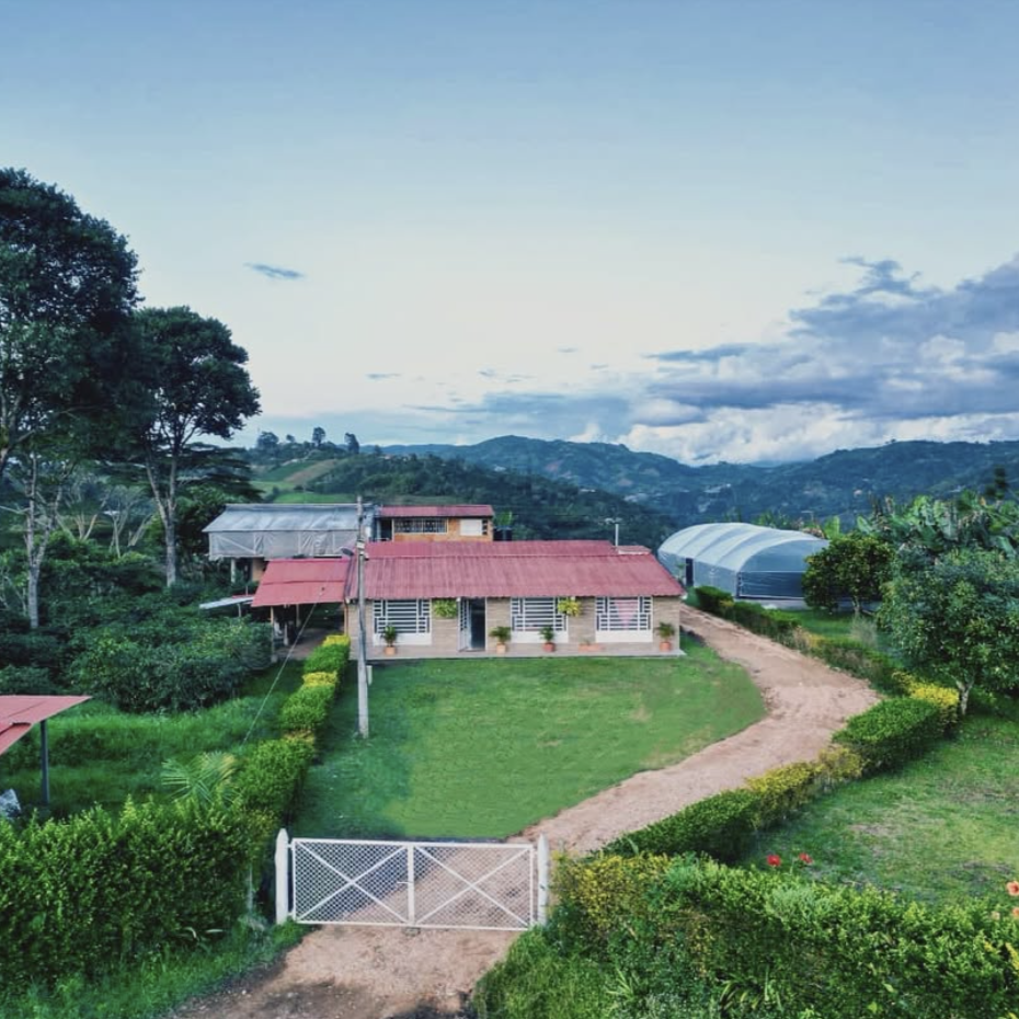 El Porvenir Gesha SemiWashed Land of Diversity