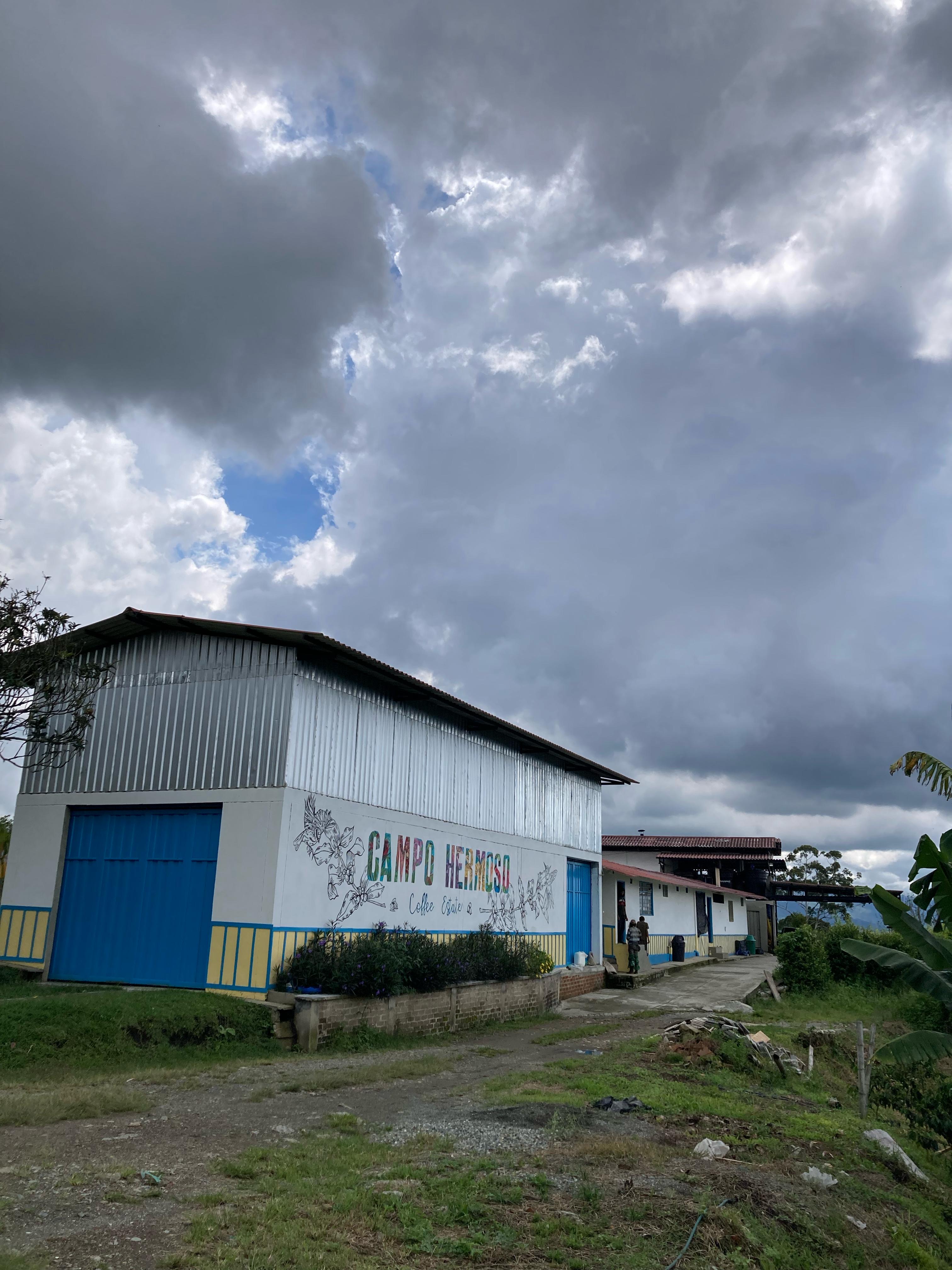 Gesha Black Honey Mossto Lactic