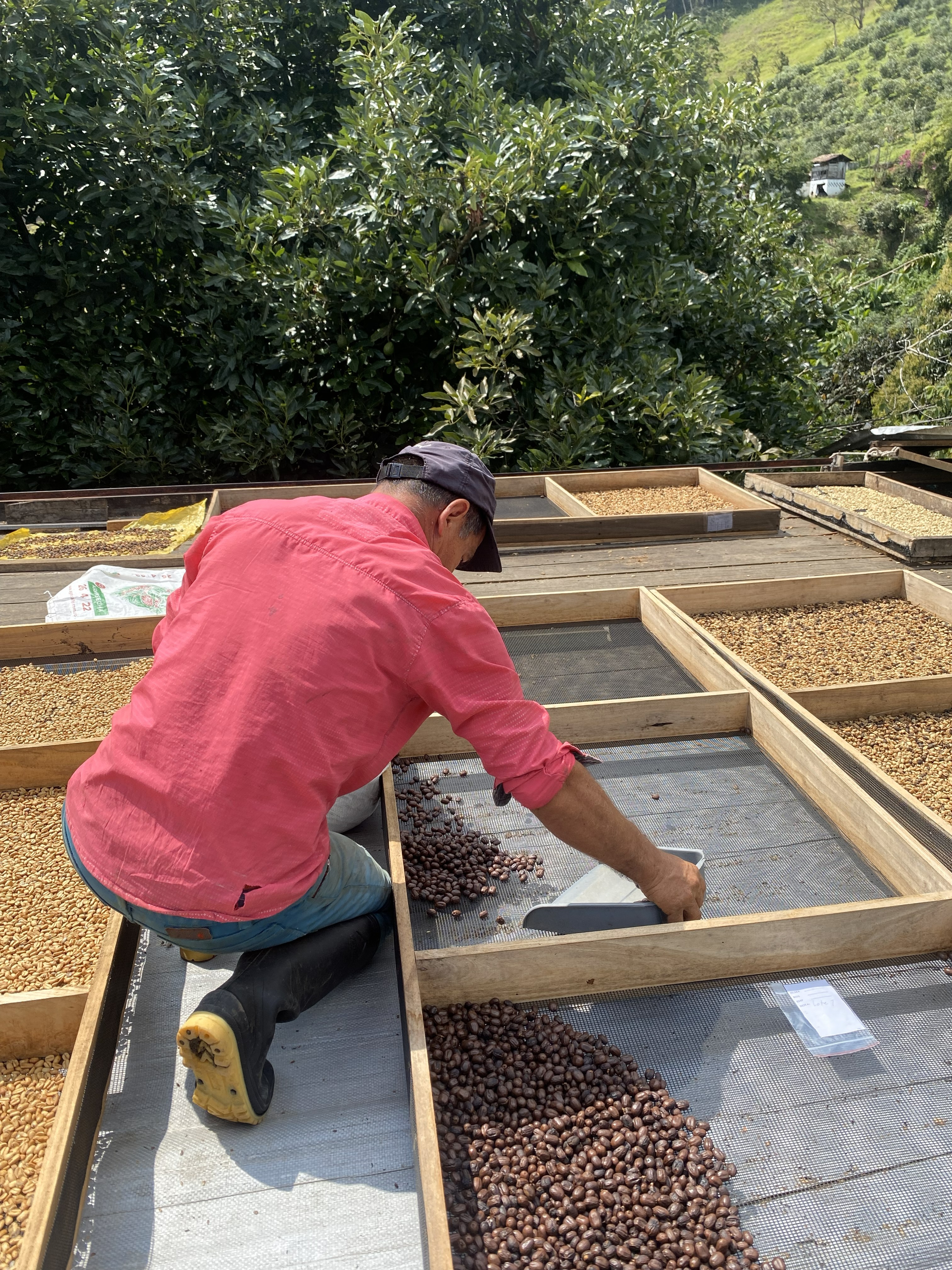 商品サムネイル