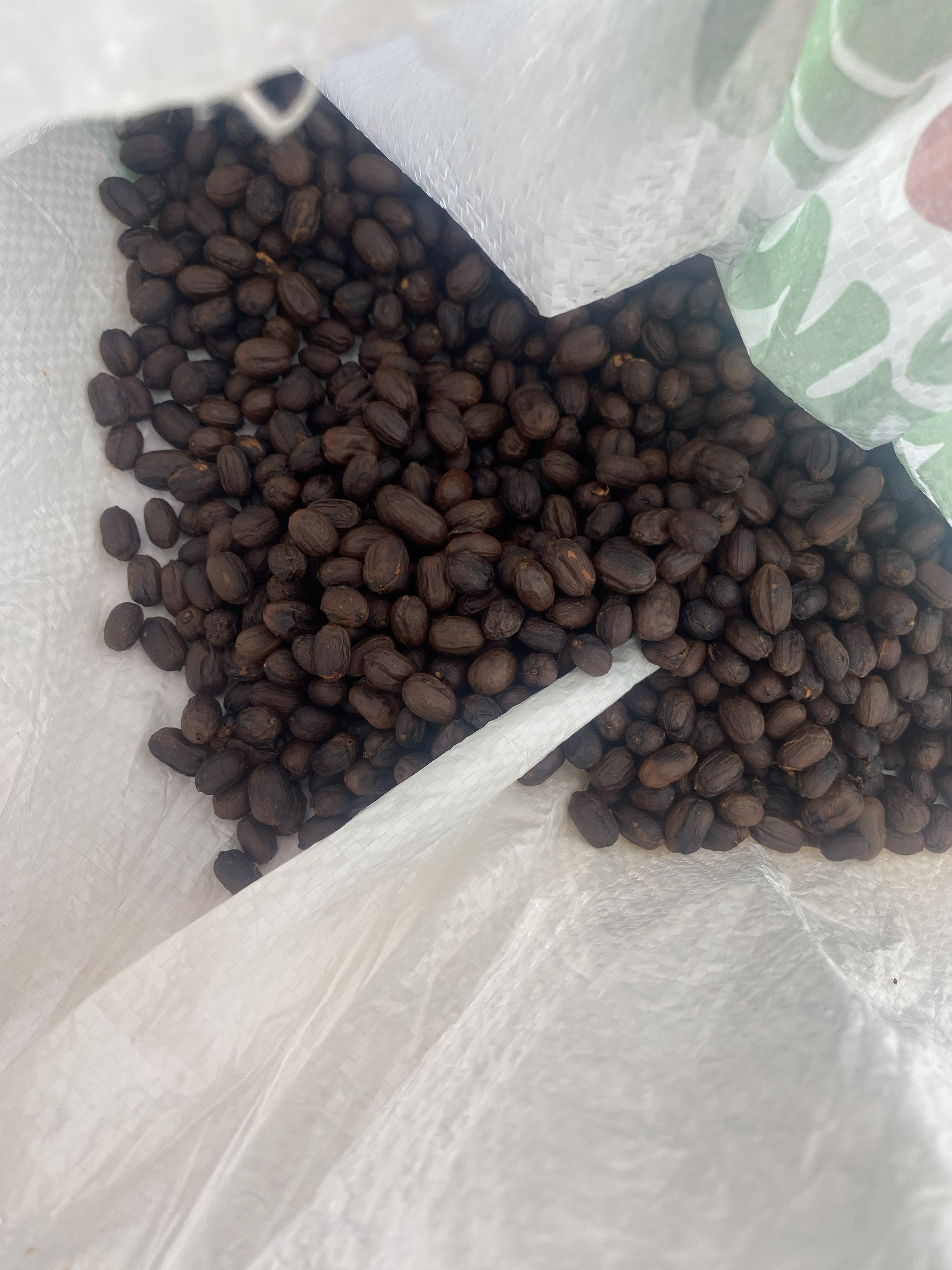 MIKAVA Red Bourbon CM Natural 3010