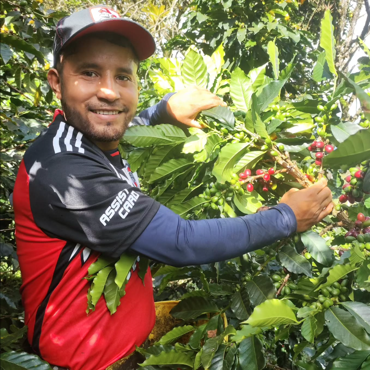 Q07 Pink Bourbon Washed Quebraditas						