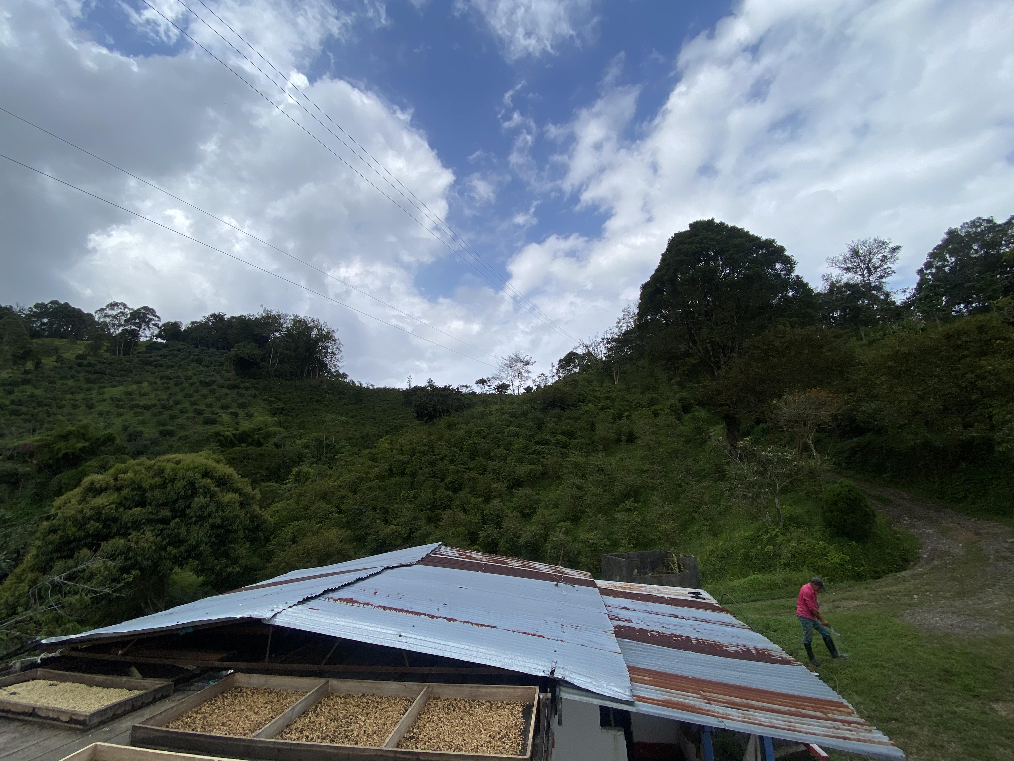 MIKAVA Tabi Washed Experimental 