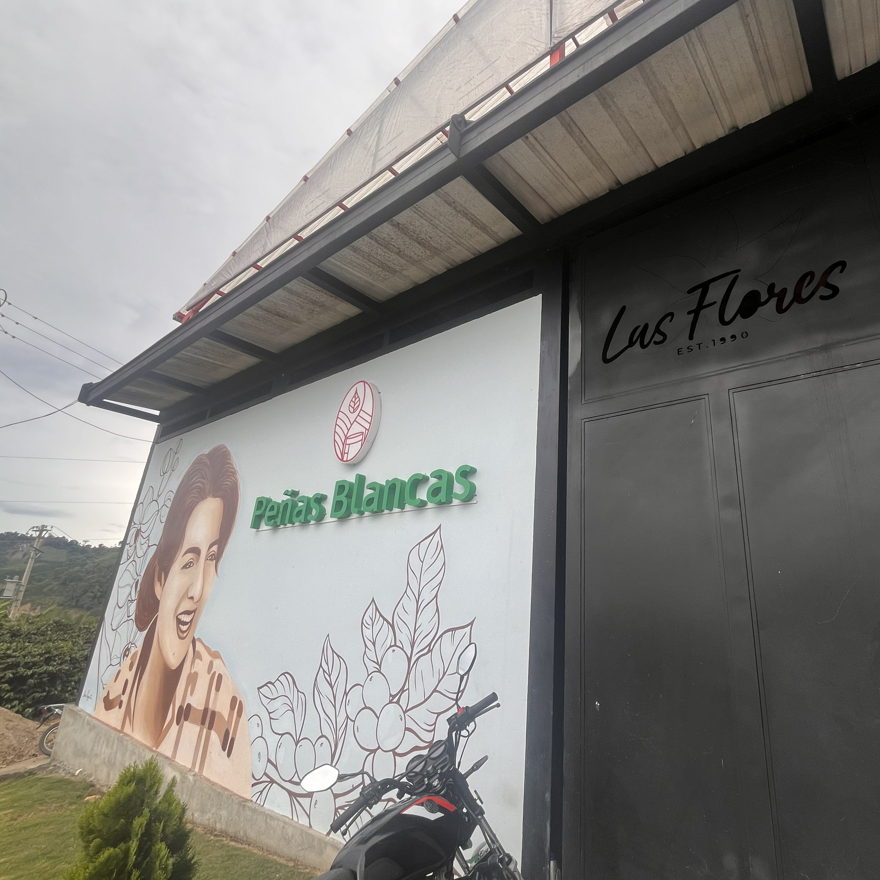 Chiroso Natural Las Flores