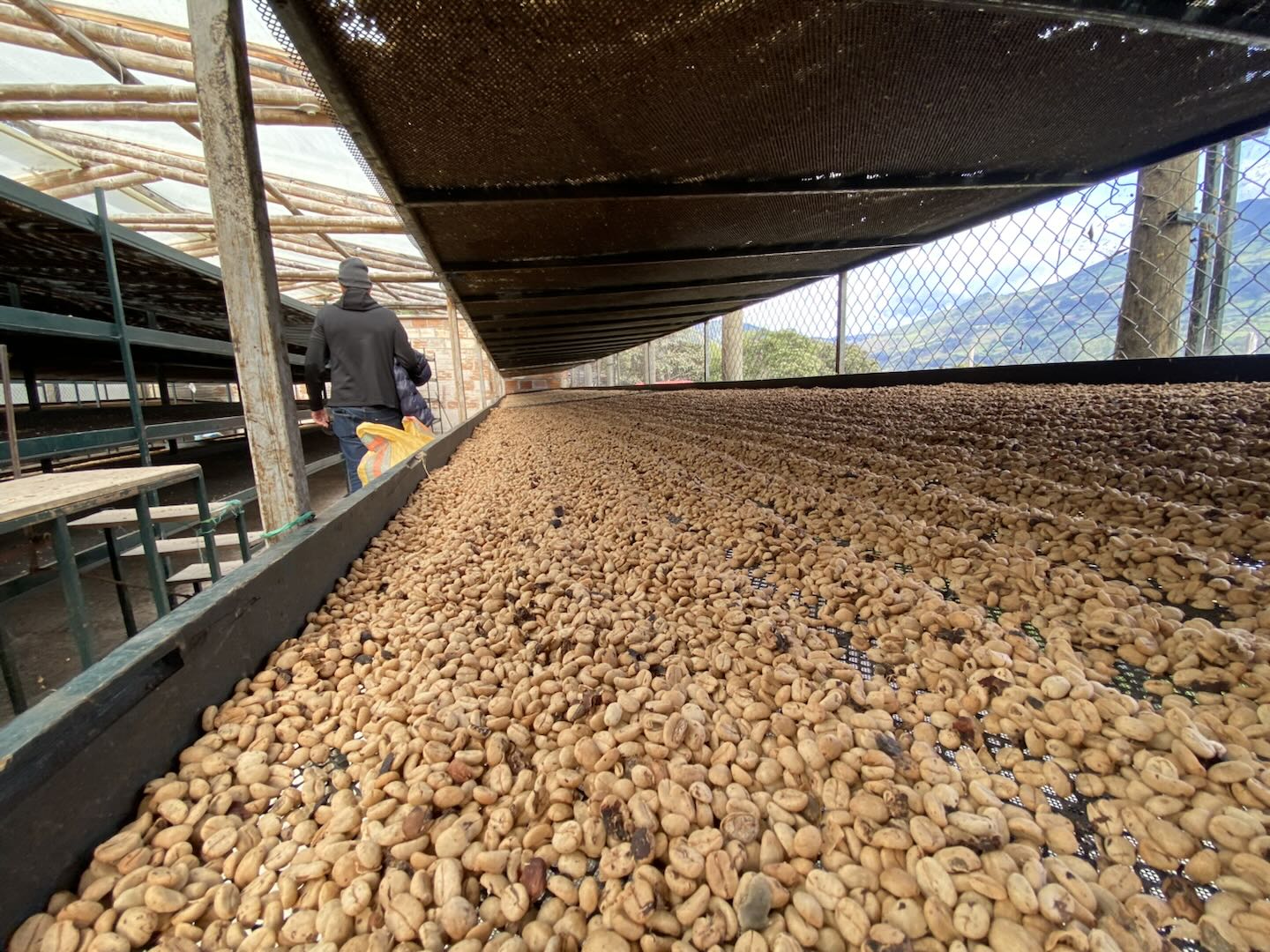 商品サムネイル