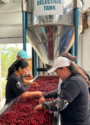 商品サムネイル