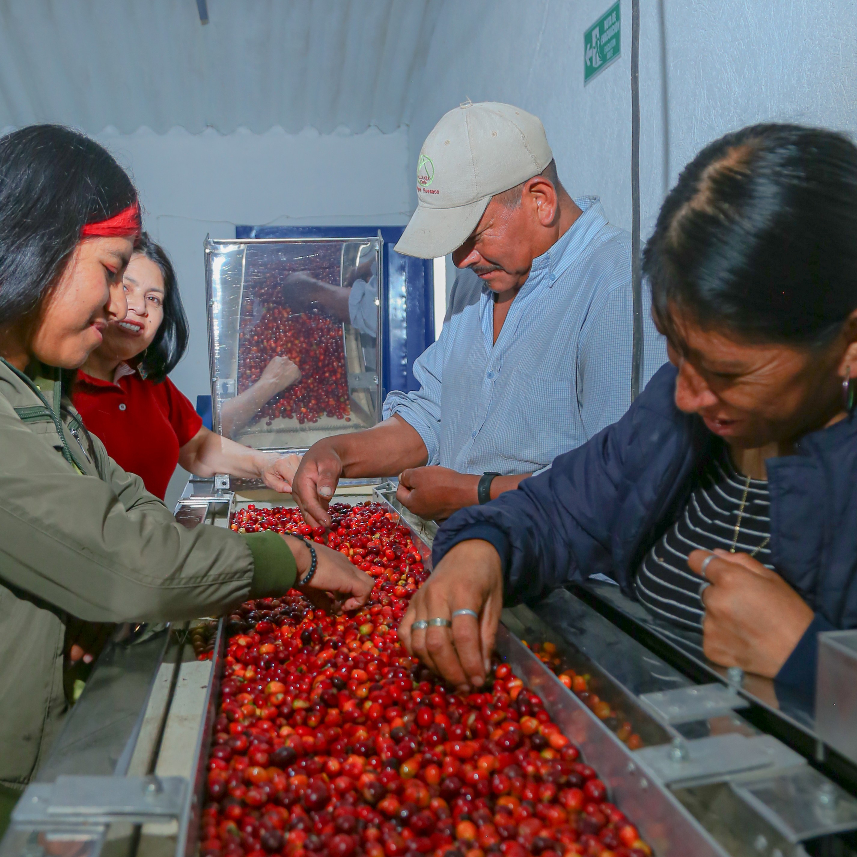Pink Bourbon Washed Quitupamba
