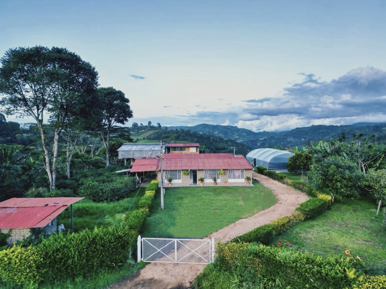 El Porvenir Gesha SemiWashed Land of Diversity