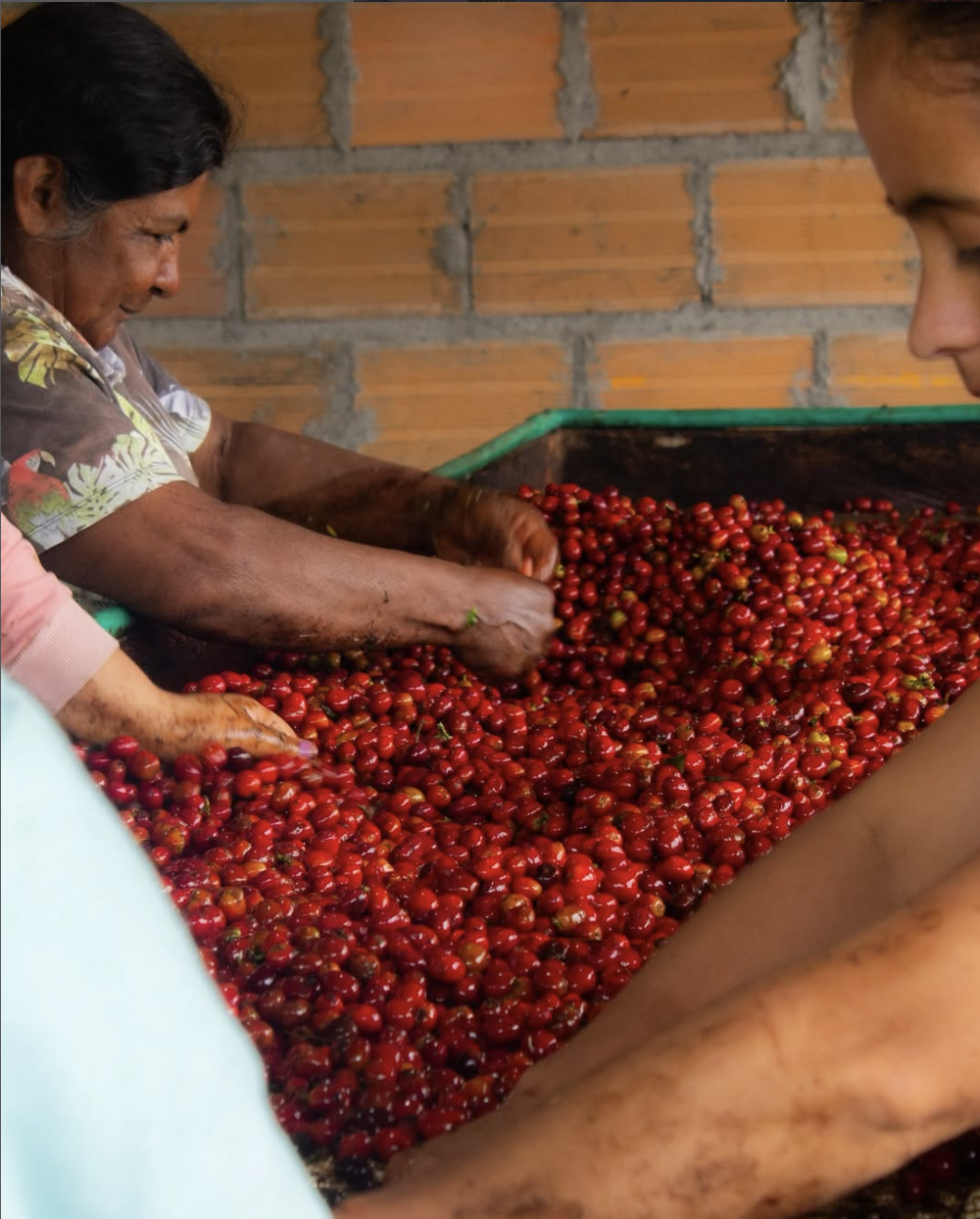商品サムネイル