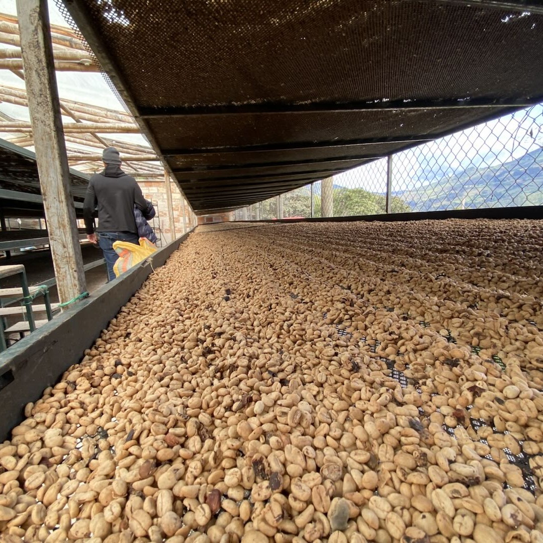 El Obraje Castillo Washed