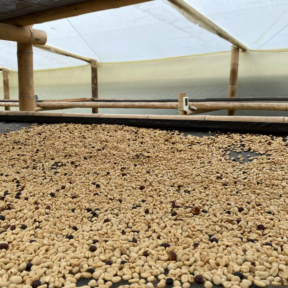 Caturron Natural Anaerobic