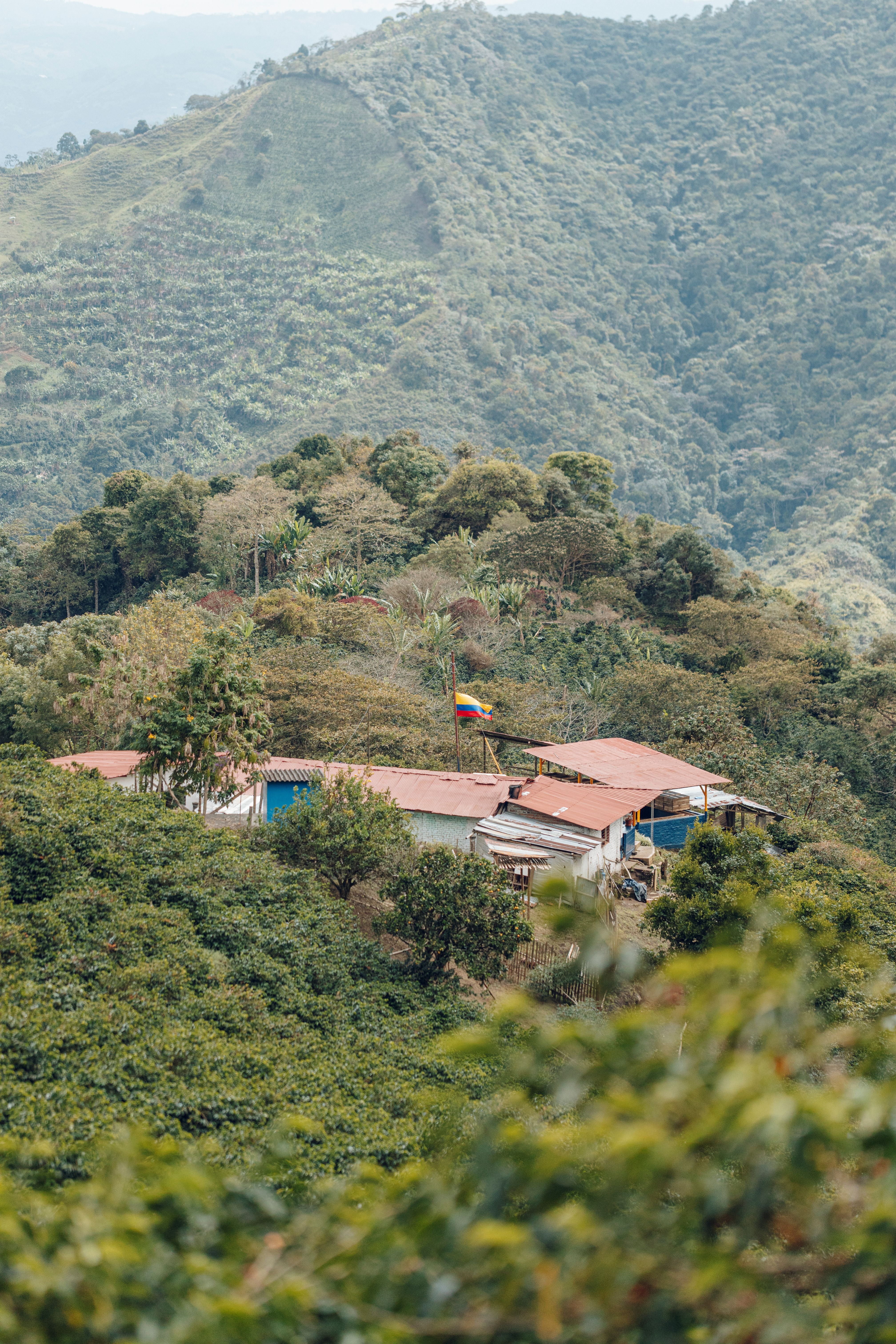 商品サムネイル