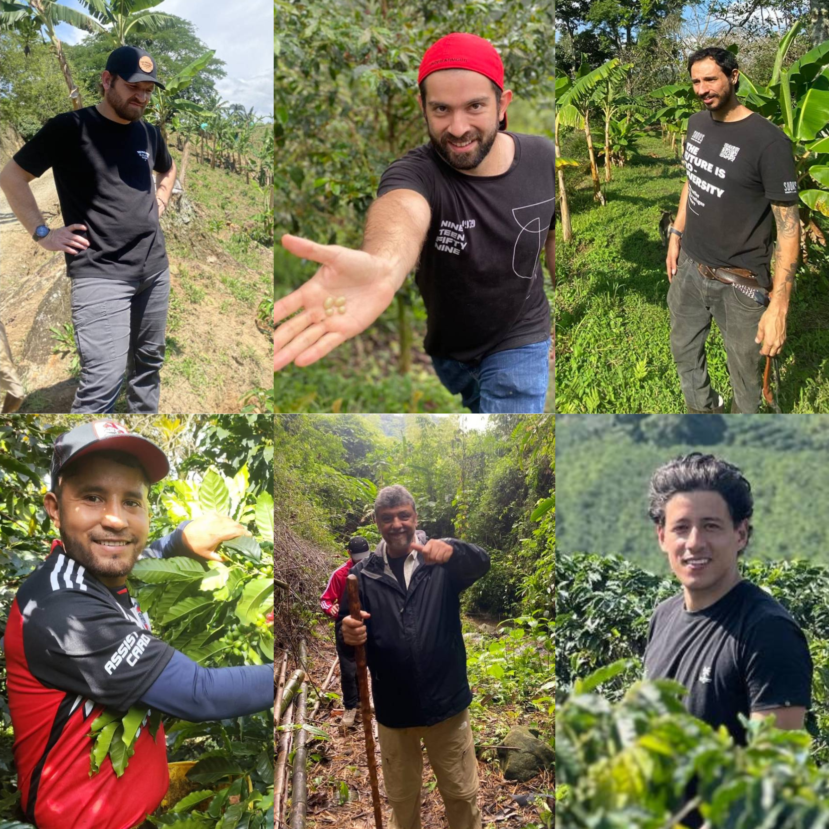 生豆サブスクリプション