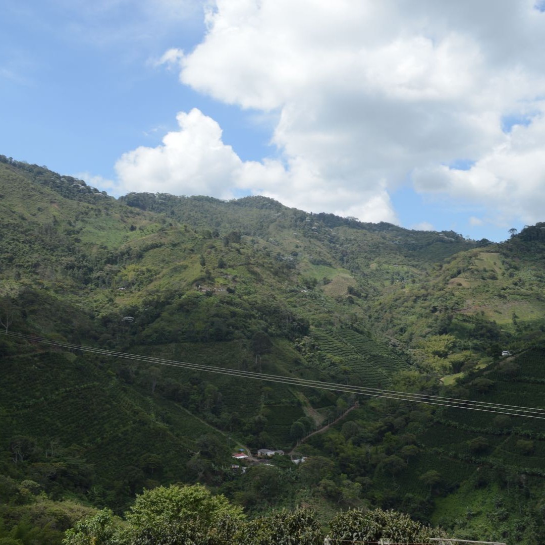 Natural La Esperanza