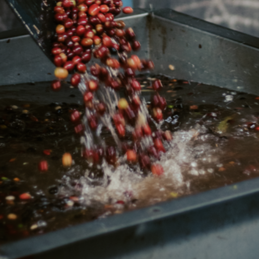 Orange Bourbon Lavender Fusion