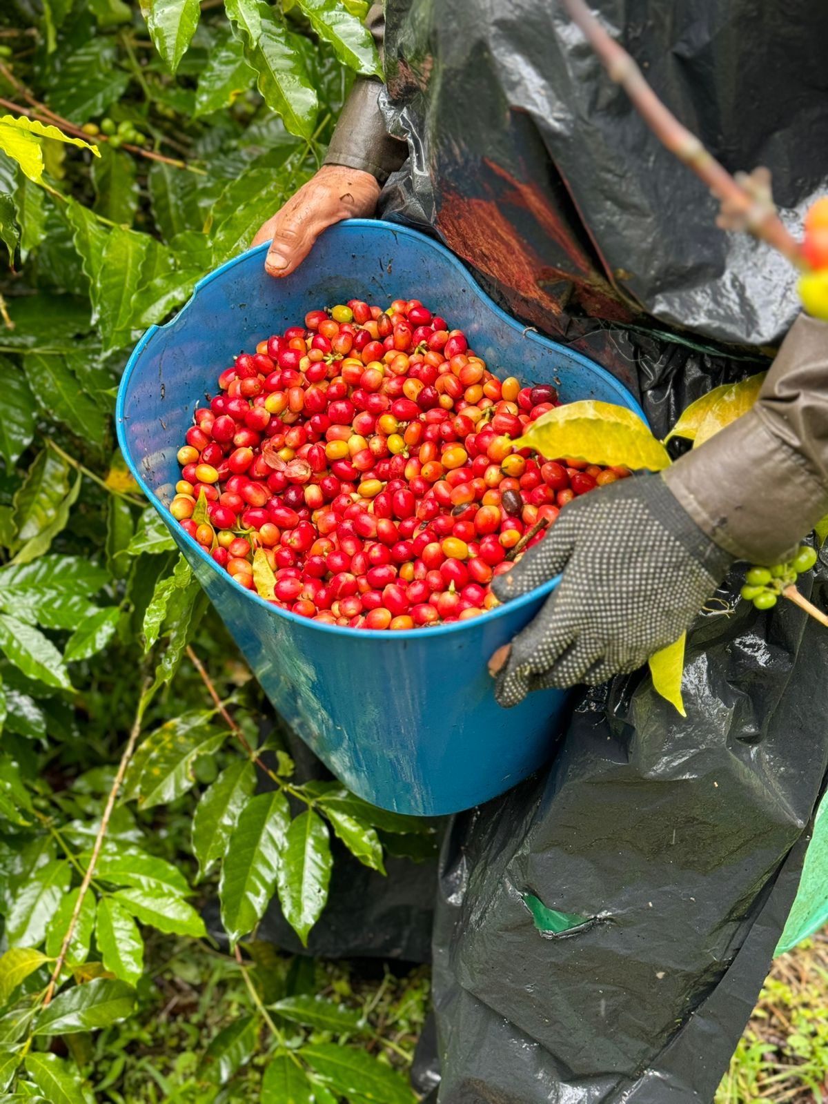 商品サムネイル