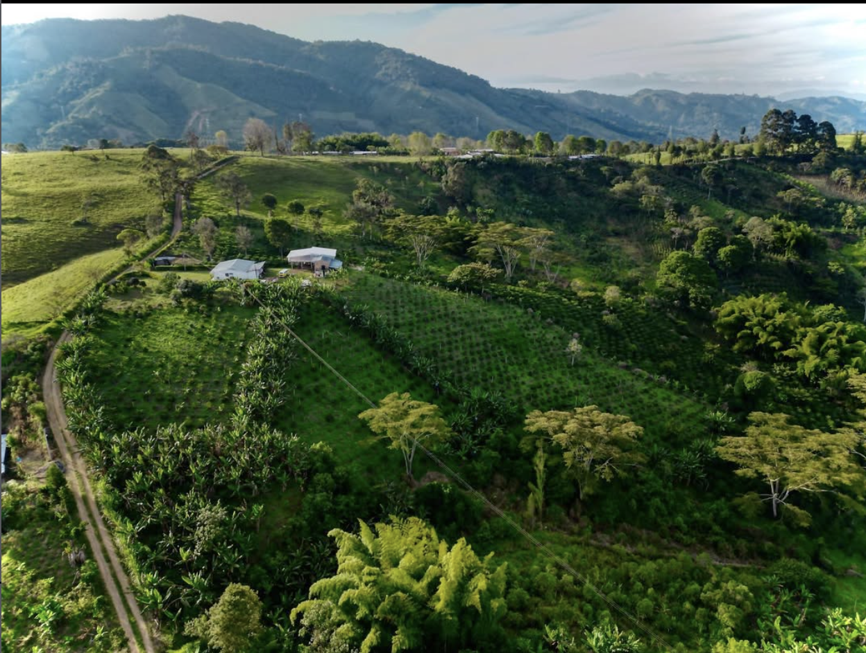 El Porvenir Gesha SemiWashed Land of Diversity