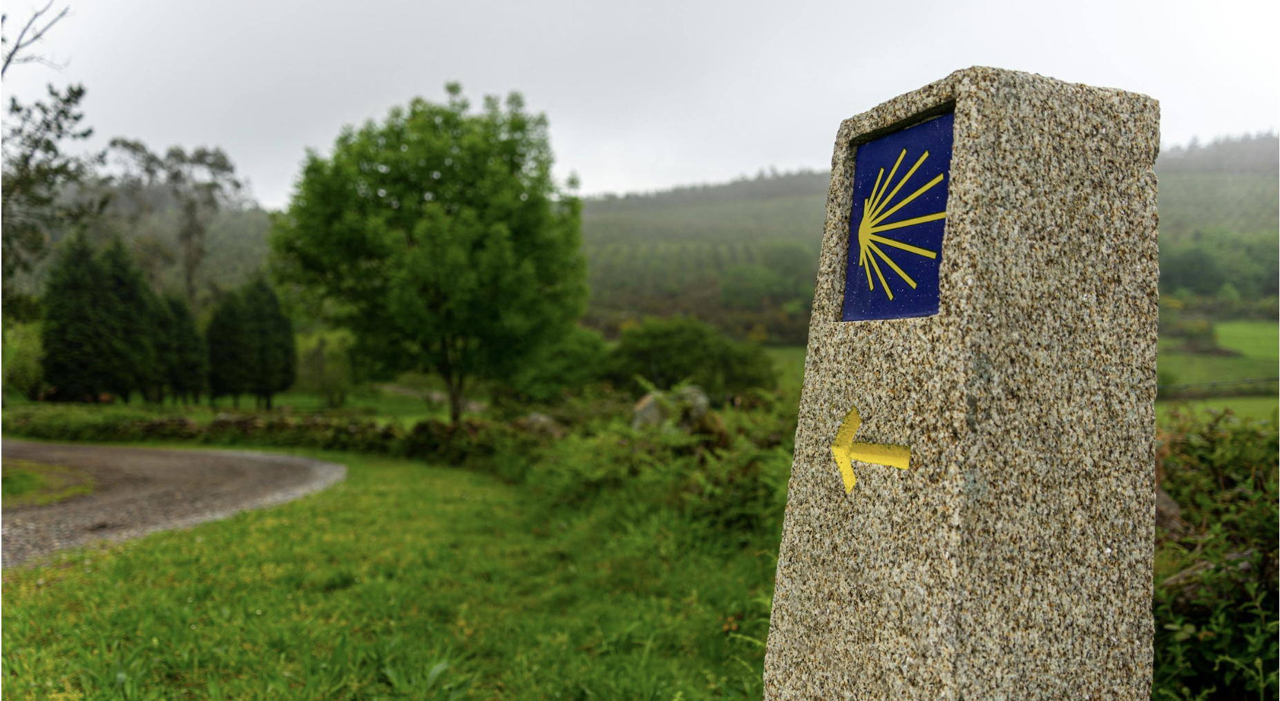 ニュースサムネイル