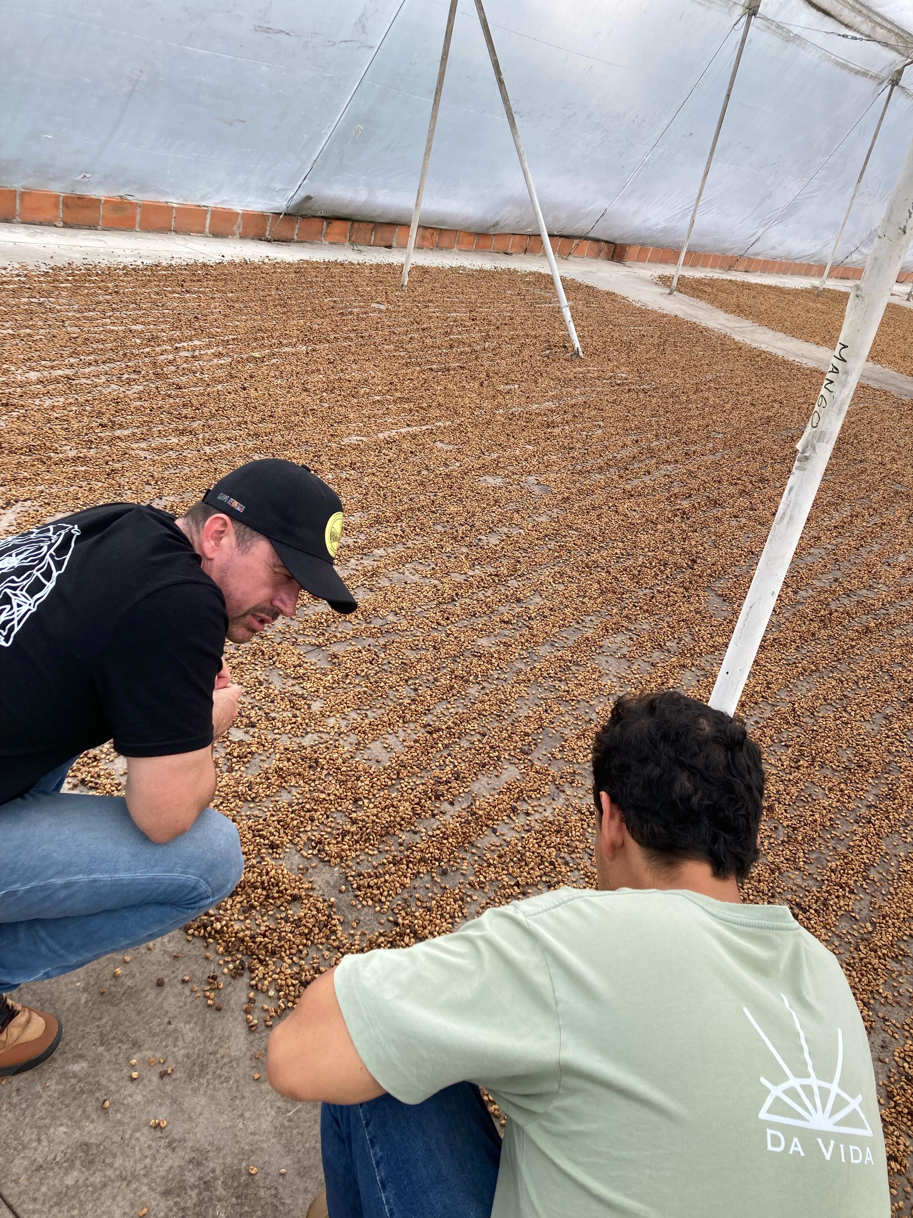 商品サムネイル