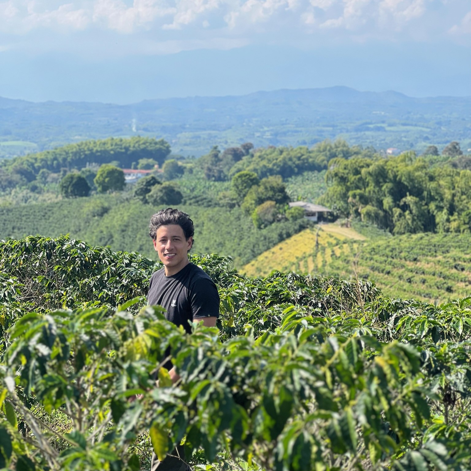 Chiroso Washed El Origen