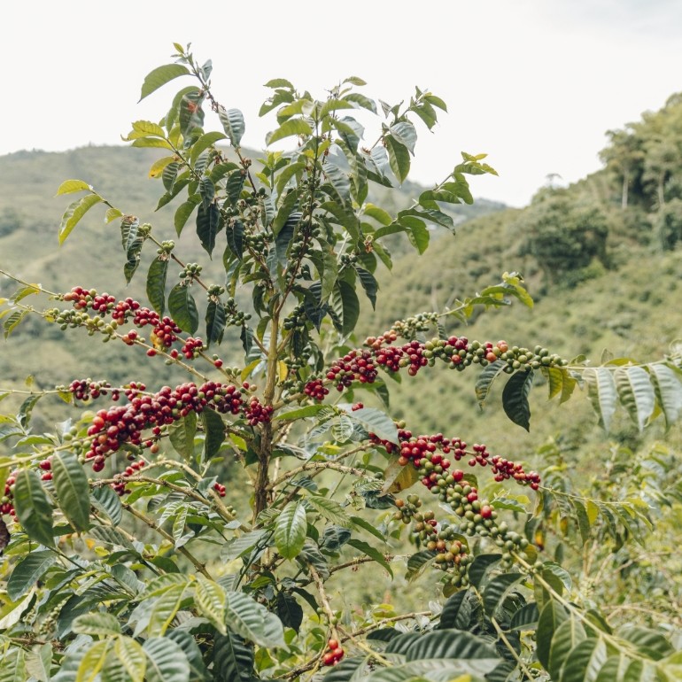 商品サムネイル