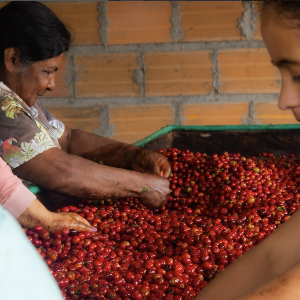商品サムネイル