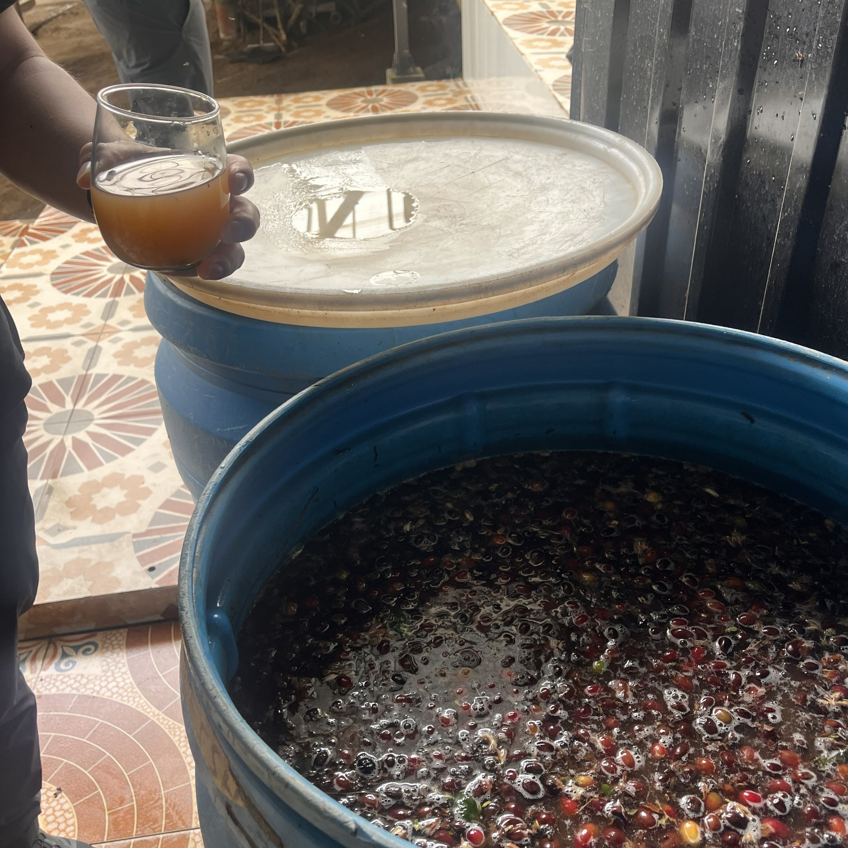 Pink Bourbon Washed El Diviso