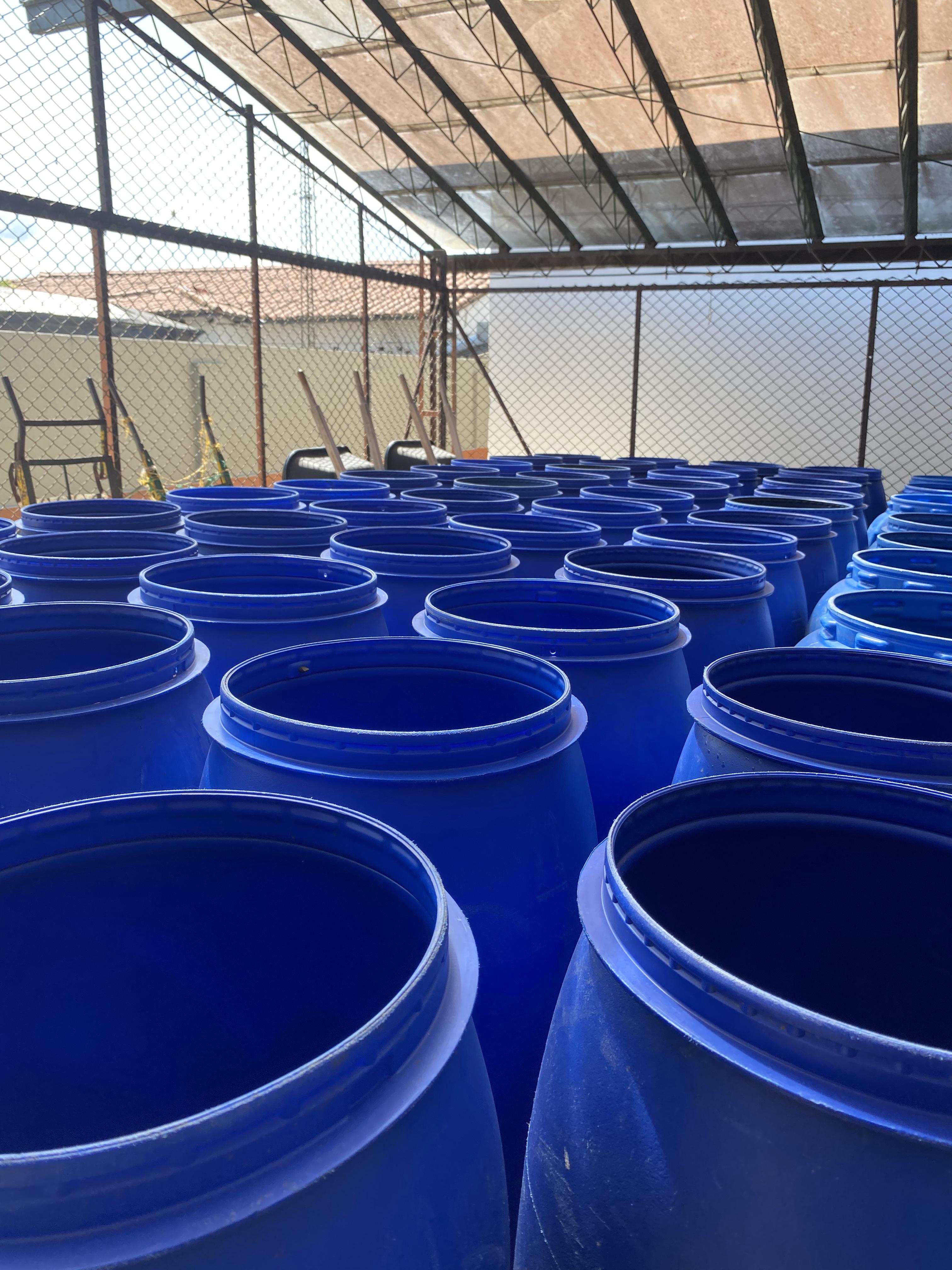 Pink Bourbon Midnight Bloom