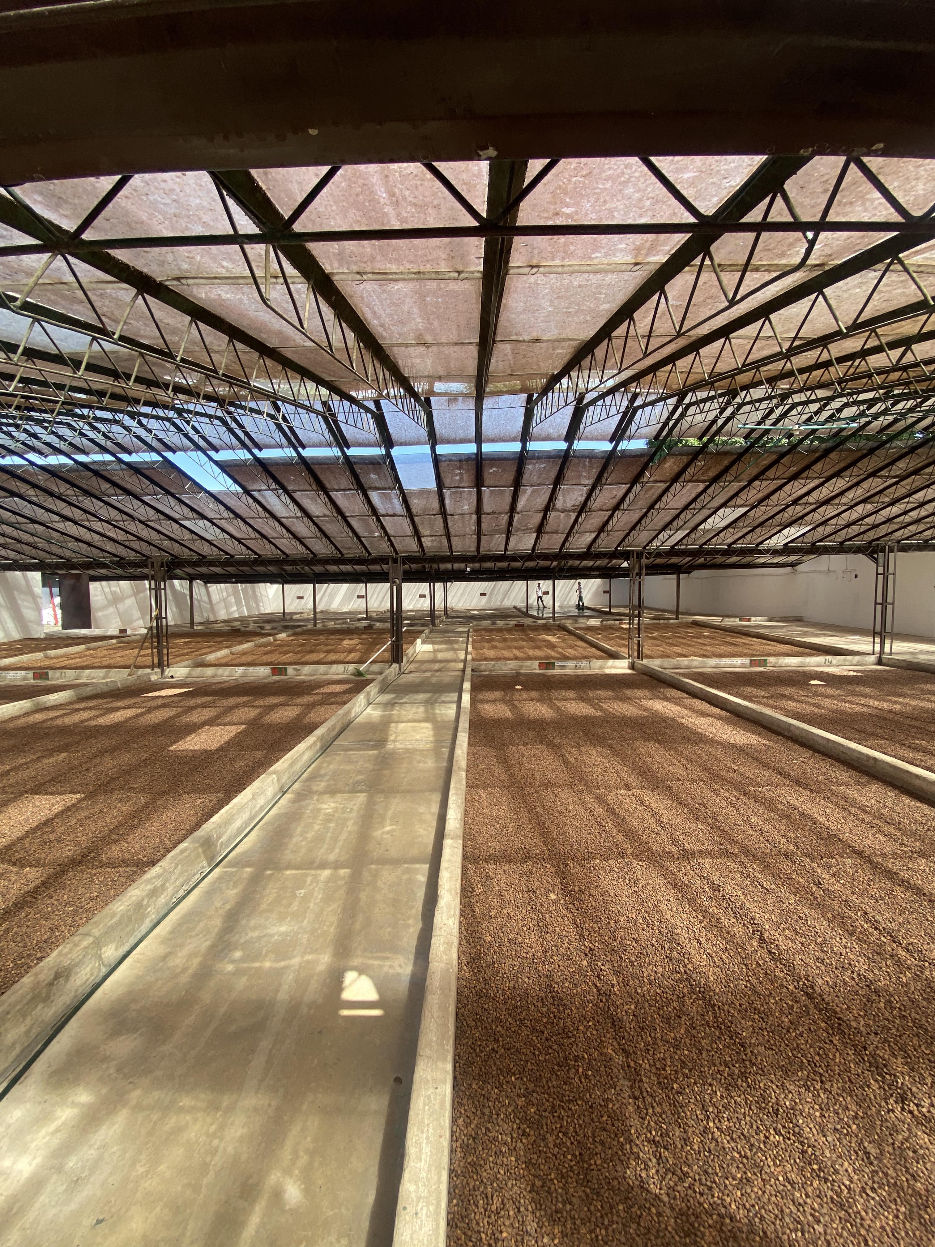 商品サムネイル