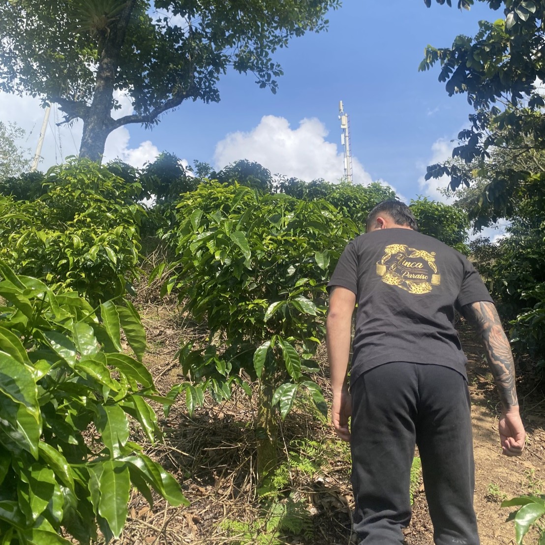 Wush Wush Antimaceration