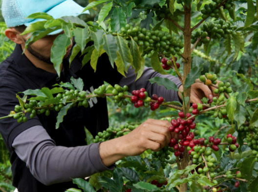 商品サムネイル